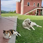 La E Bella