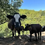 La E Bella Gospodarstwo agroturystyczne