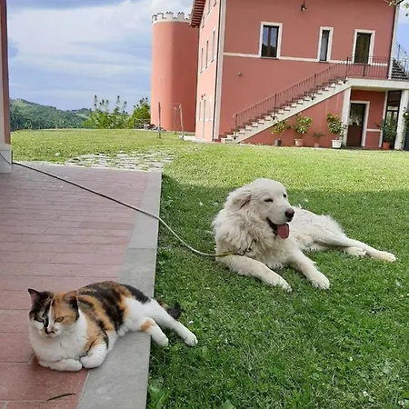 La E Bella
