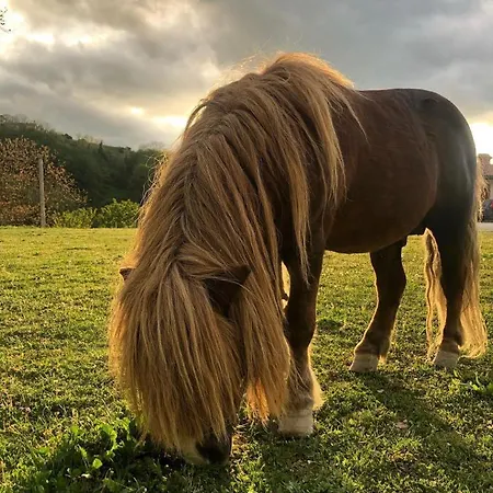La E Bella Farm stay Fabriano