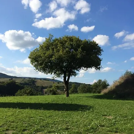 Alojamento de Turismo Rural La E Bella
