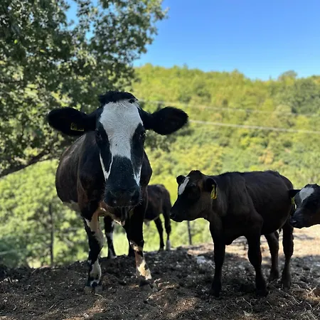 La E Bella Farm stay