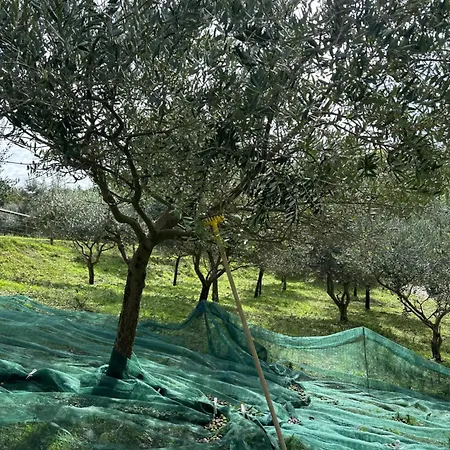 La E Bella Feriegård *