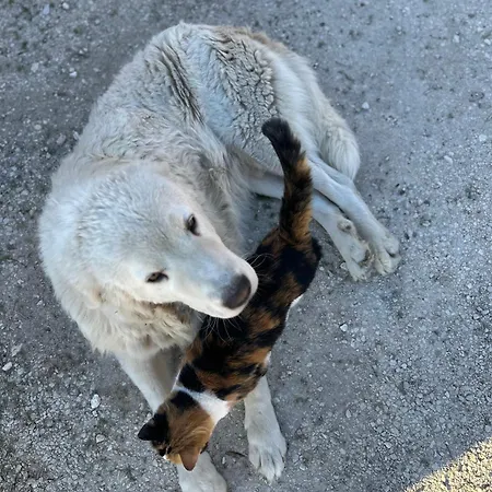 Feriegård La E Bella *